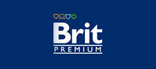 logo brit premium
